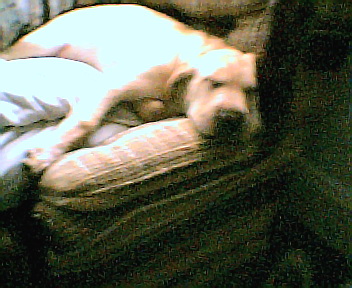 ciara001.jpg